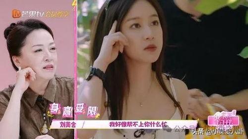 明星视频在线观看 2024大瓜事件,明星视频在线观看风云录